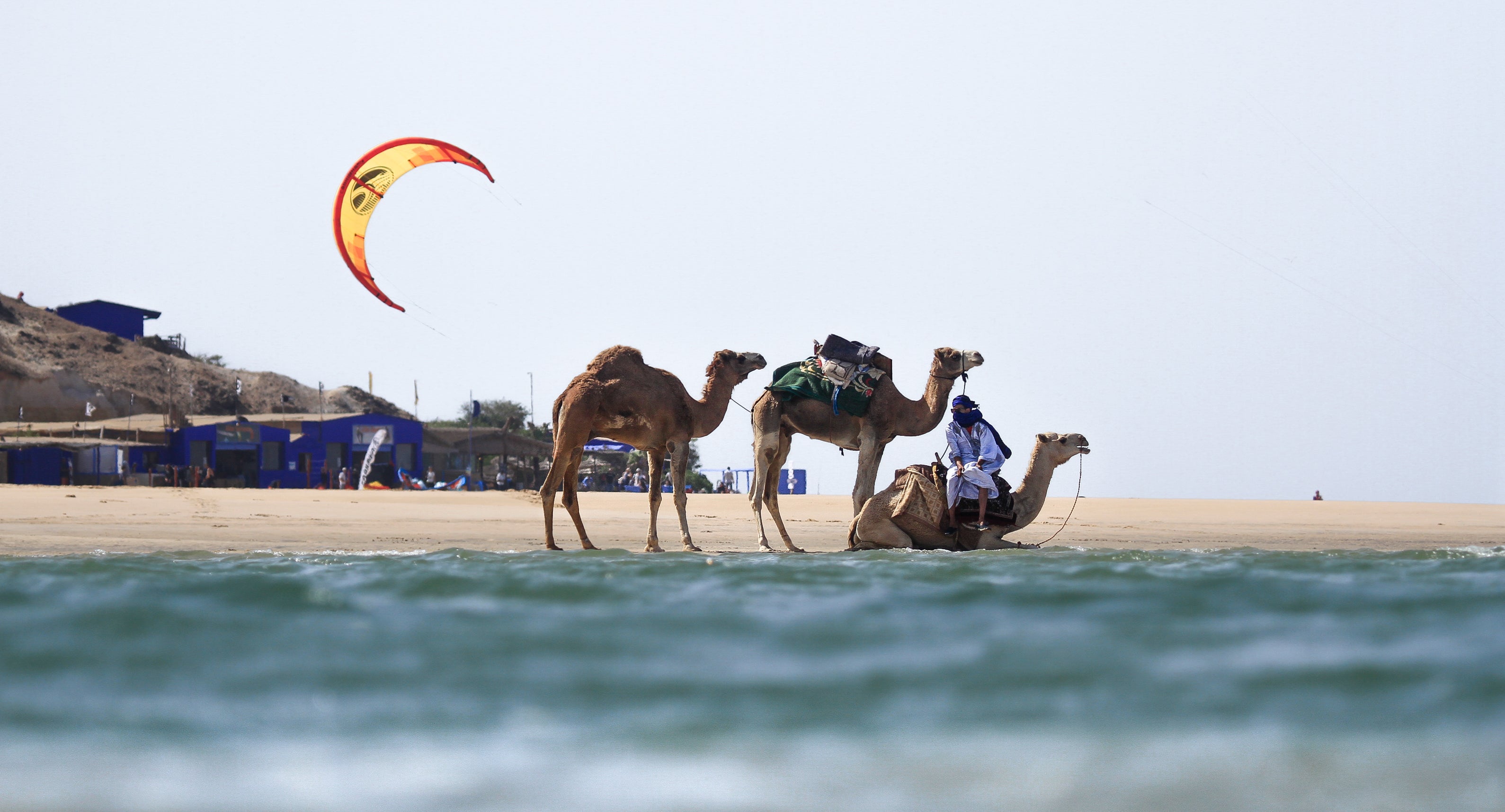 Camels & Kite